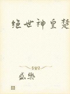绝世神皇楚风封面