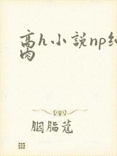 高h小说np纯肉
