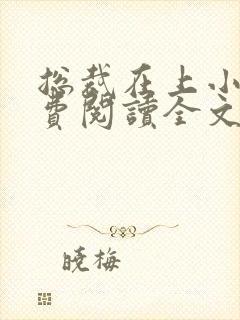 总裁在上小说免费阅读全文时小念