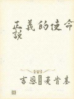 正义的使命 小说