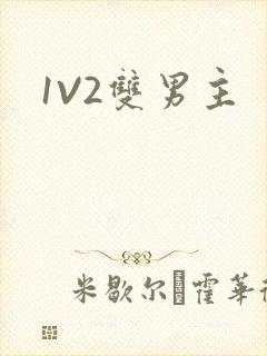 1V2双男主
