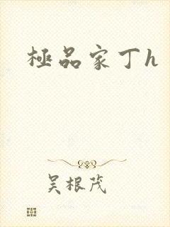 极品家丁h