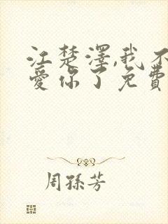 江楚泽,我不会爱你了免费阅读封面