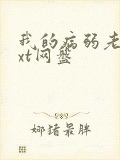 我的病弱老婆txt网盘