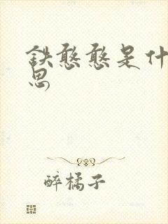 铁憨憨是什么意思