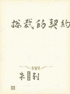 总裁的契约妻