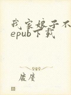 我家娘子不对劲epub下载