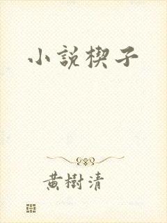 小说楔子封面