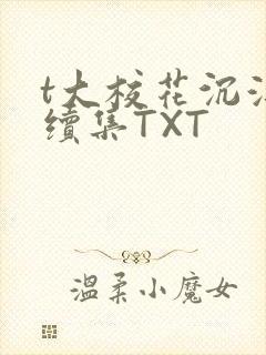 t大校花沉浮录续集TXT封面