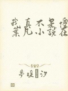 我真不是傻子了叶凡小说在线阅读