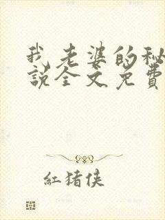 我老婆的秘密小说全文免费阅读