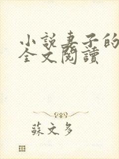 小说妻子的自述全文阅读