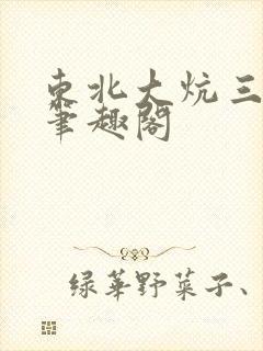 东北大炕三部曲笔趣阁封面
