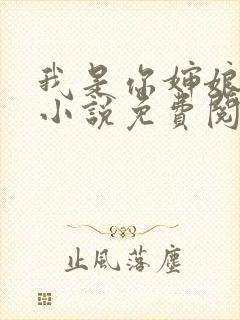 我是你婶娘妈妈小说免费阅读