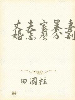 丈夫家暴妻子离婚怎么分割财产