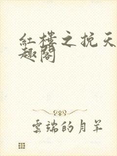 红楼之挽天倾笔趣阁