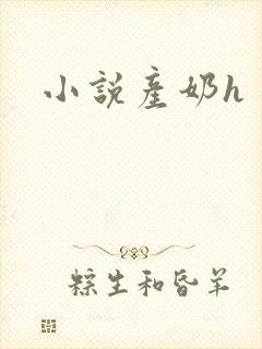 小说产奶h