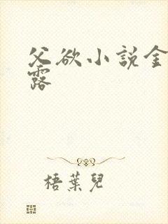 父欲小说金银花露封面