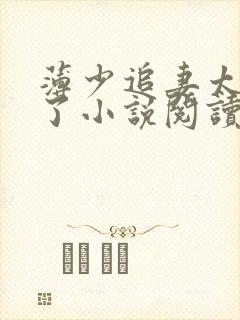 薄少追妻太上头了小说阅读