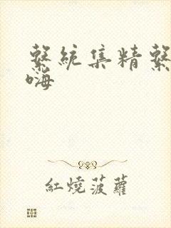 系统集精系统高嗨