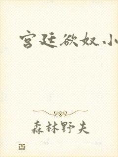 宫廷欲奴小说