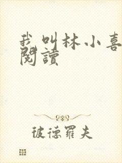 我叫林小喜全文阅读