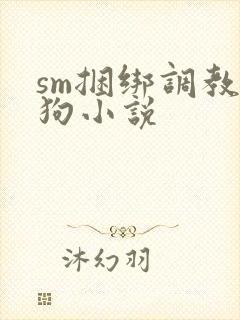 sm捆绑调教母狗小说