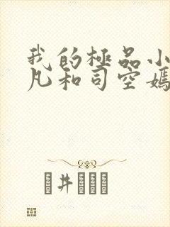 我的极品小姨叶凡和司空嫣的小说