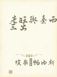 老旺与秦雨三进三出