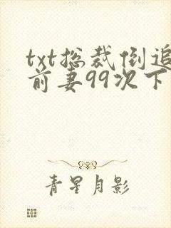 txt总裁倒追前妻99次下载