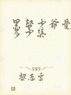 黑帮少爷爱上我多少集