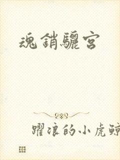魂销骊宫