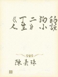 《丁二狗的逍遥人生》小说