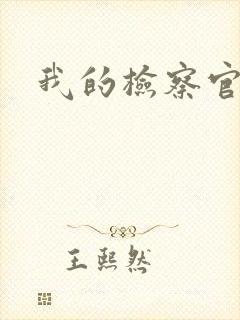 我的检察官先生