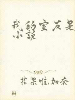 我的室友是女主小说