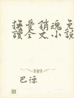 换爱销魂免费阅读全文小说最新章节封面