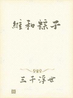 维和粽子