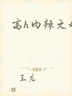 高h肉辣文奸