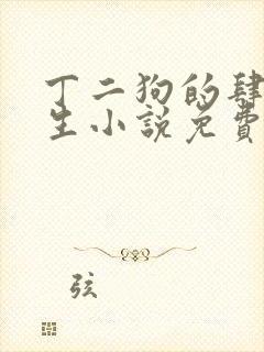 丁二狗的肆意人生小说免费有声