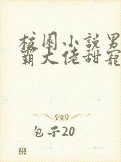 校园小说男主校霸大佬甜宠文