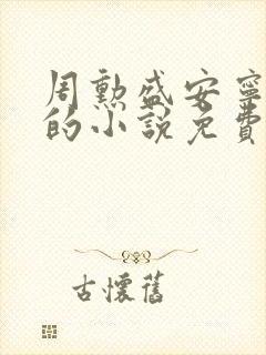 周勋盛安宁主角的小说免费阅读封面