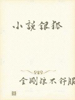 小说银狐封面
