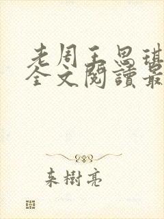 老周王思琪小说全文阅读最新章节更