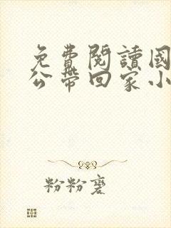 免费阅读国民老公带回家小说封面