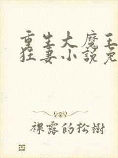 重生大魔王独宠狂妻小说免费阅读封面