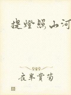 提灯照山河