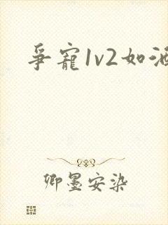 争宠1v2如酒