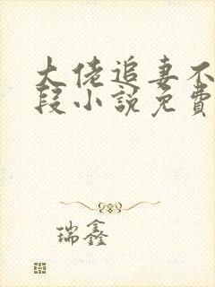 大佬追妻不择手段小说免费阅读封面