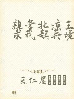 亲爹北凉王开局求我起兵境界