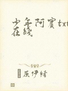 少年阿宾txt在线